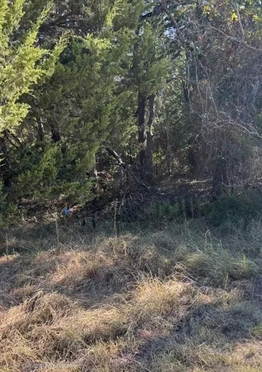 0.39 acres in Navarro County - photo 2
