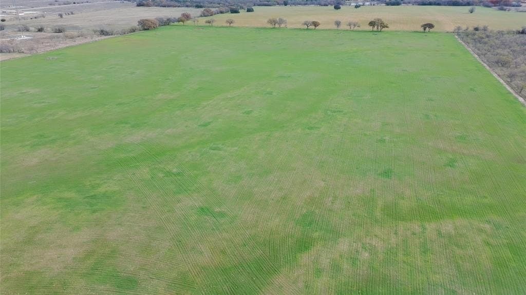 56.81 acres in Palo Pinto County - photo 4