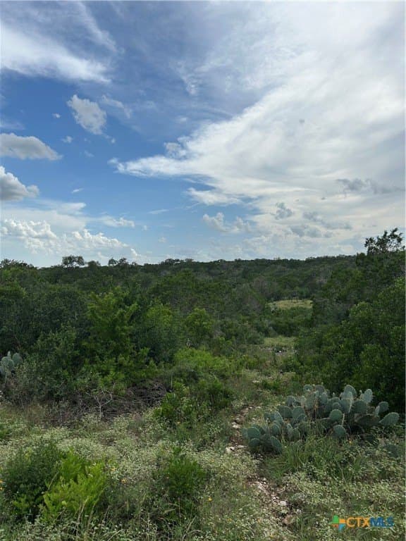 191.91 acres in Comal County - photo 3