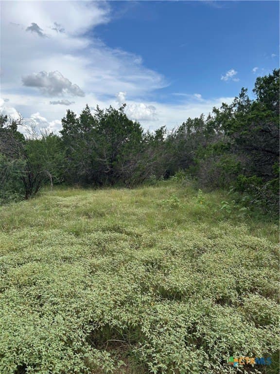 191.91 acres in Comal County - photo 10