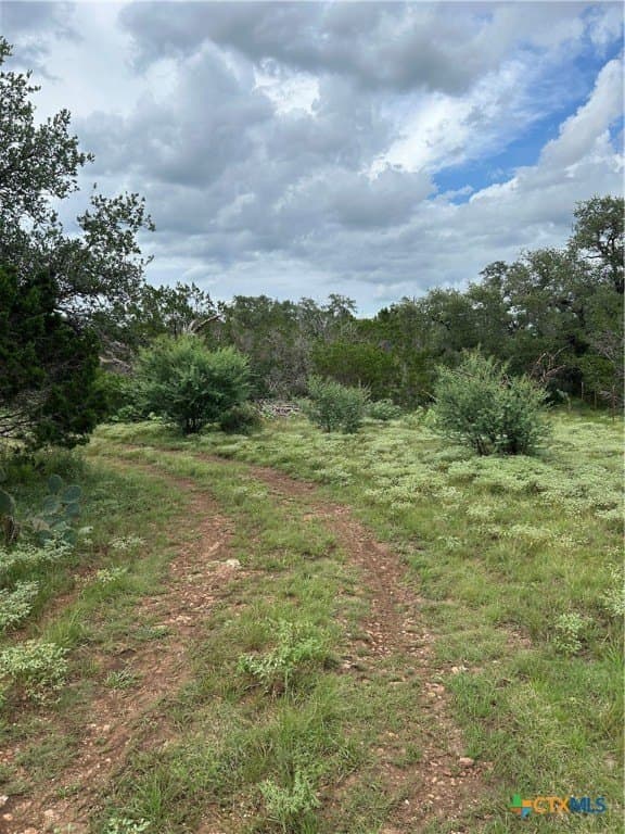 191.91 acres in Comal County - photo 4