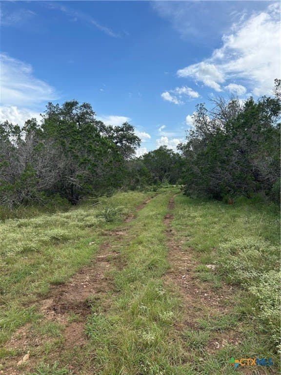 191.91 acres in Comal County - photo 11