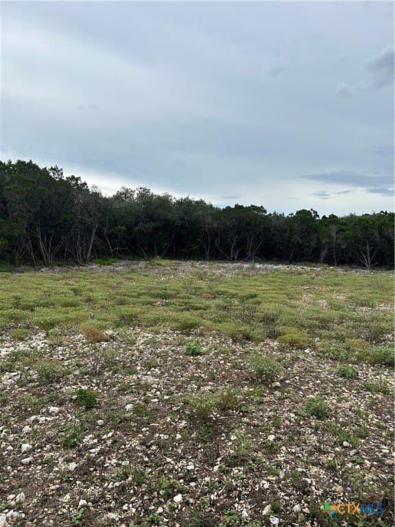 191.91 acres in Comal County - photo 7