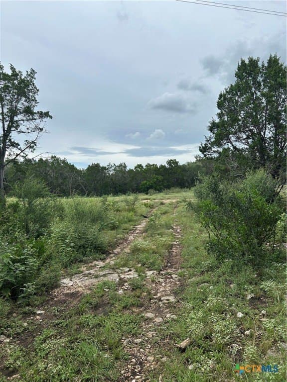 191.91 acres in Comal County - photo 8