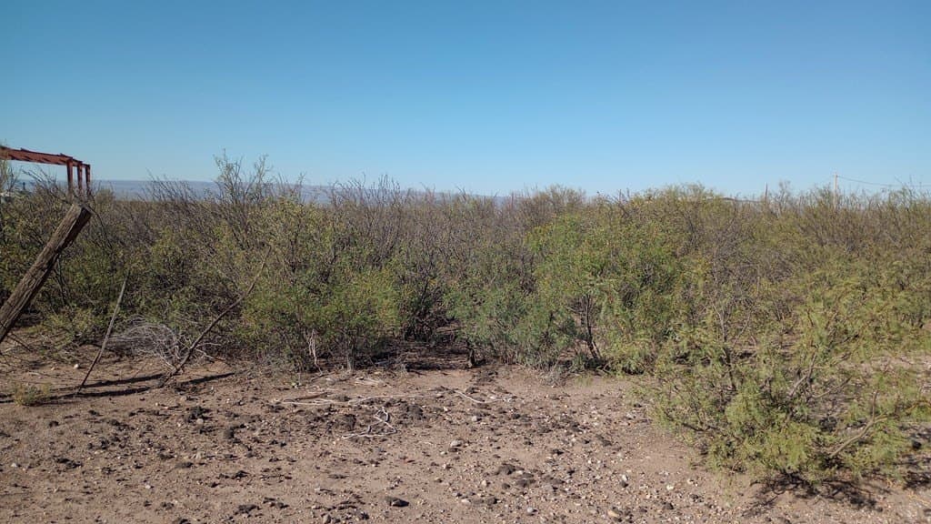 1.75 acres in Jeff Davis County - photo 5
