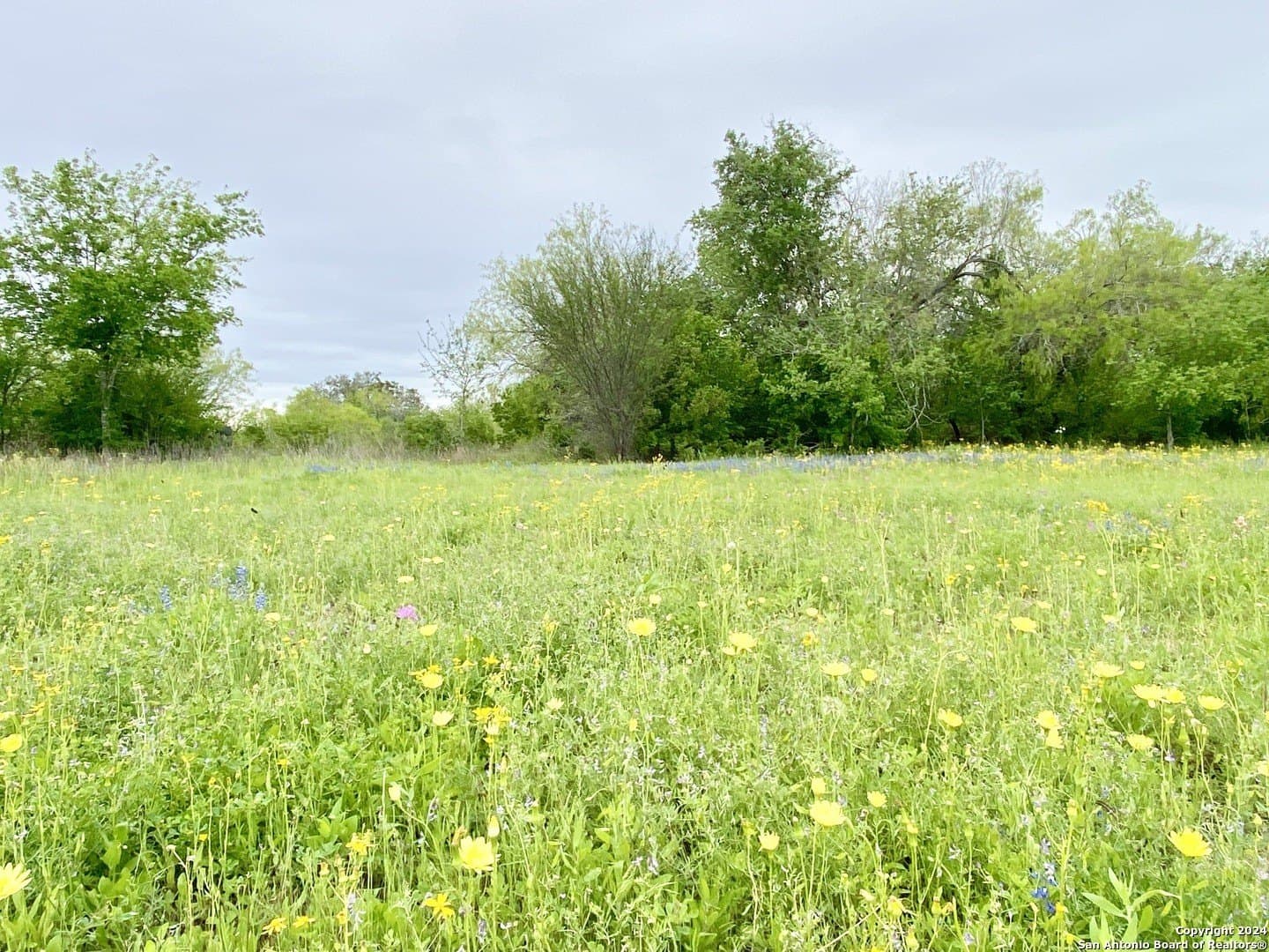 5 acres in Wilson County - photo 4