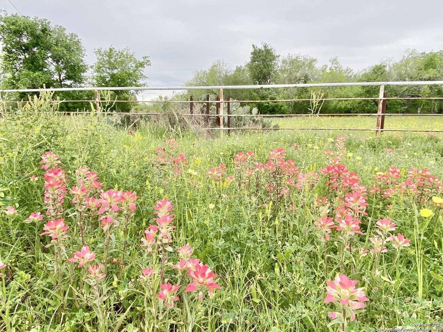 5 acres in Wilson County - photo 2
