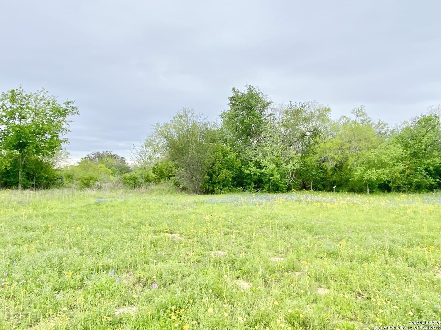 5 acres in Wilson County - photo 3