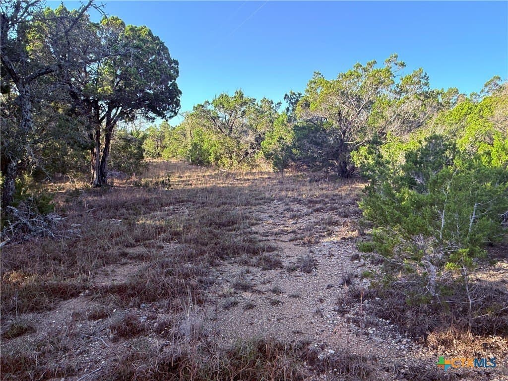10 acres in Hays County - photo 11