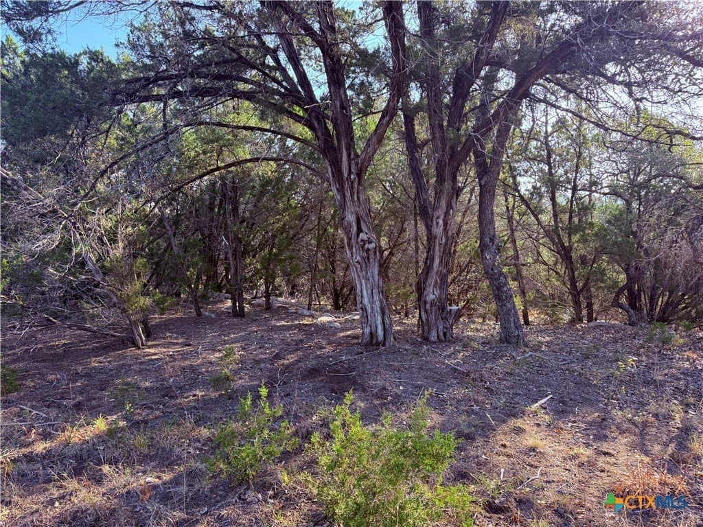 10 acres in Hays County - photo 13