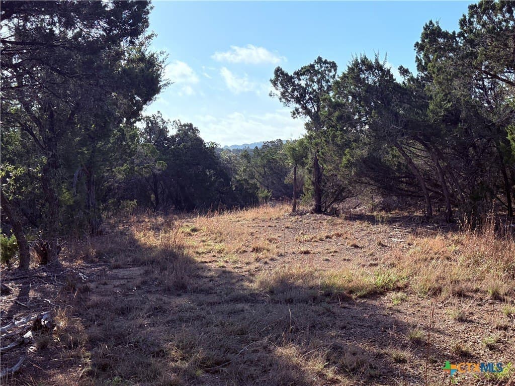 10 acres in Hays County - photo 4