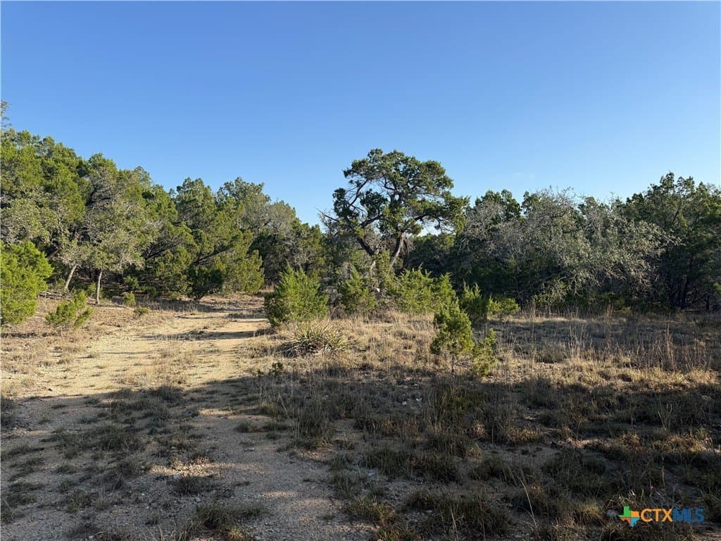 10 acres in Hays County - photo 15