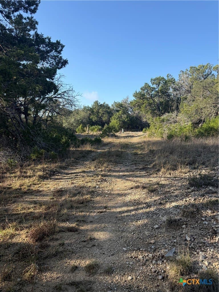 10 acres in Hays County - photo 14