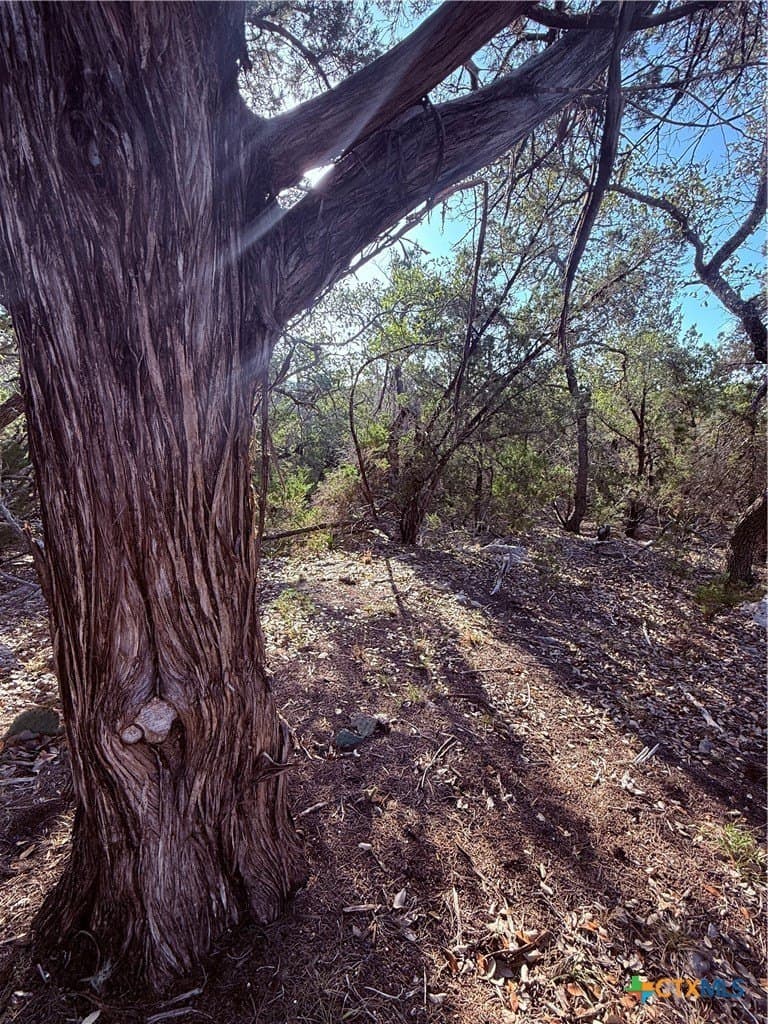 10 acres in Hays County - photo 5