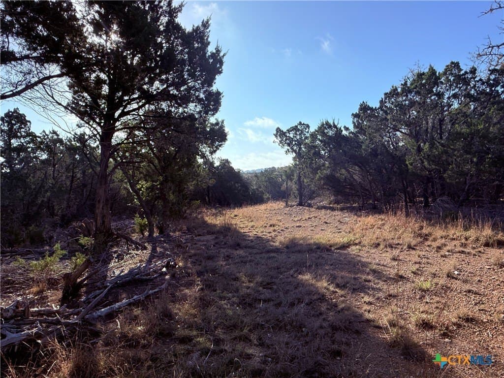10 acres in Hays County - photo 8