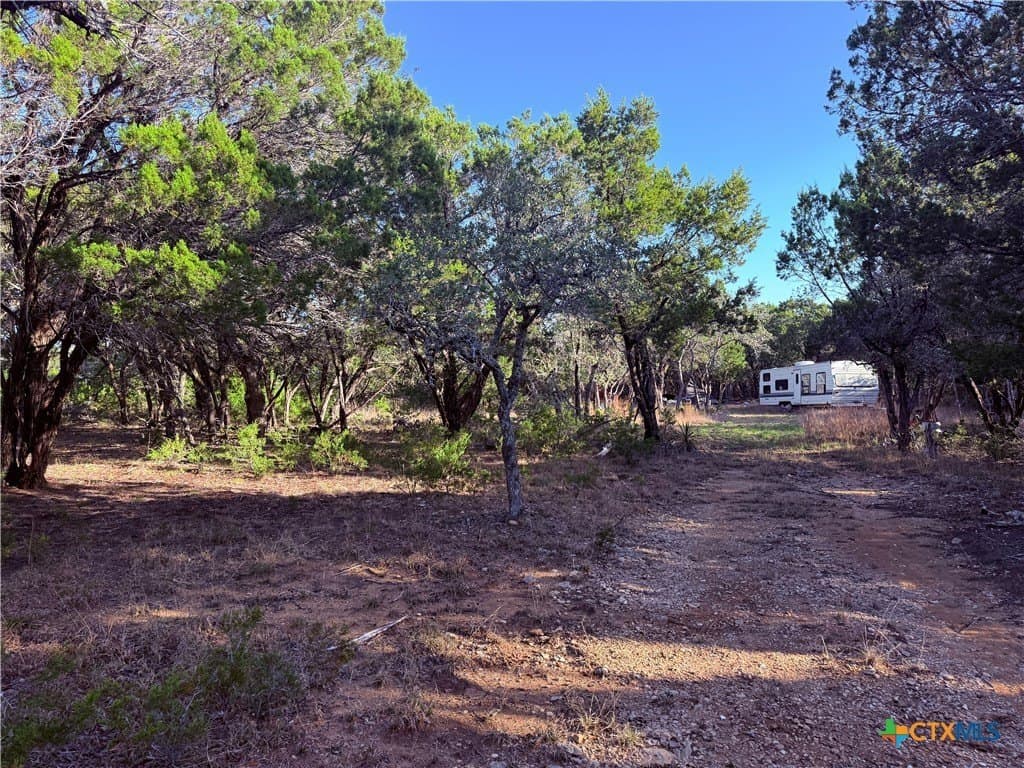 10 acres in Hays County - photo 12