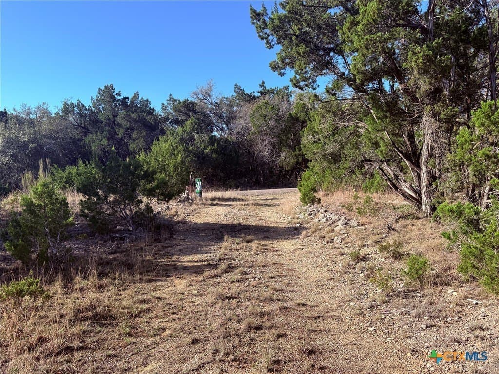 10 acres in Hays County - photo 2