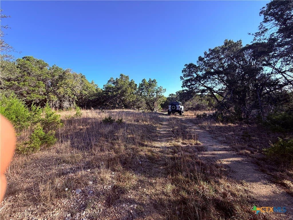 10 acres in Hays County - photo 3