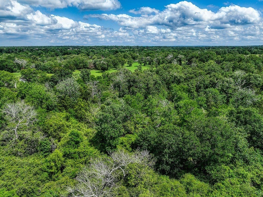 11.02 acres in Grimes County - photo 5