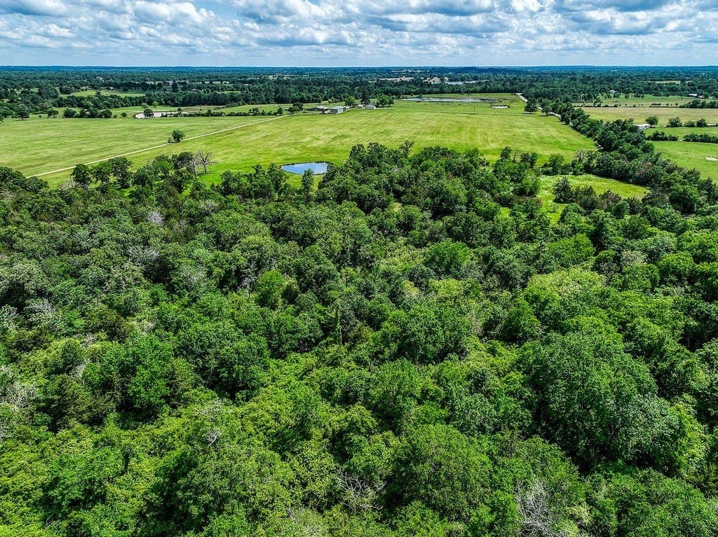 11.02 acres in Grimes County - photo 4