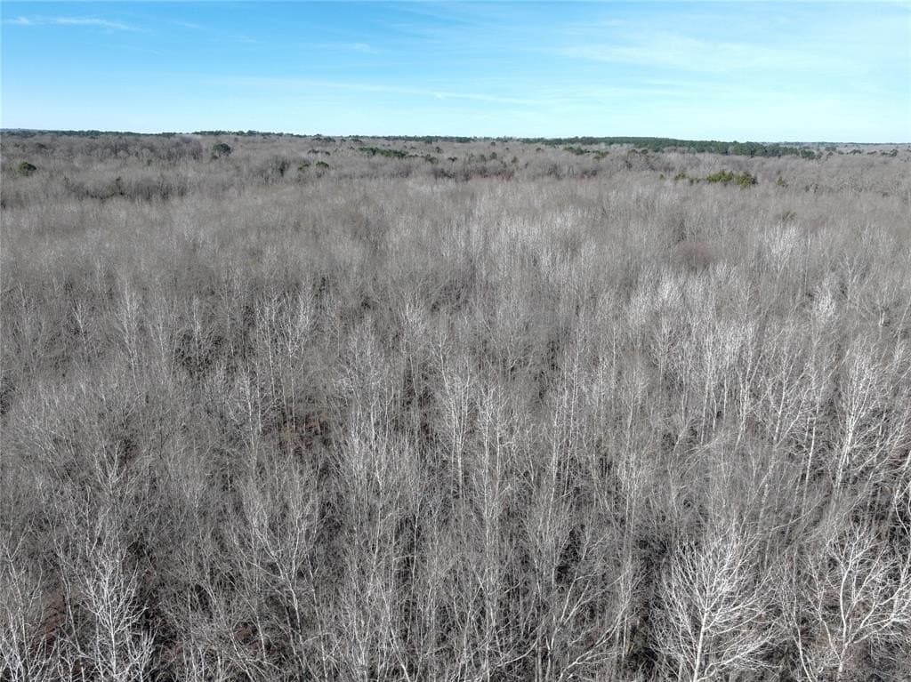 80.87 acres in Wood County - photo 13