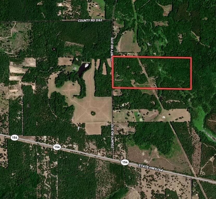 80.87 acres in Wood County - photo 2