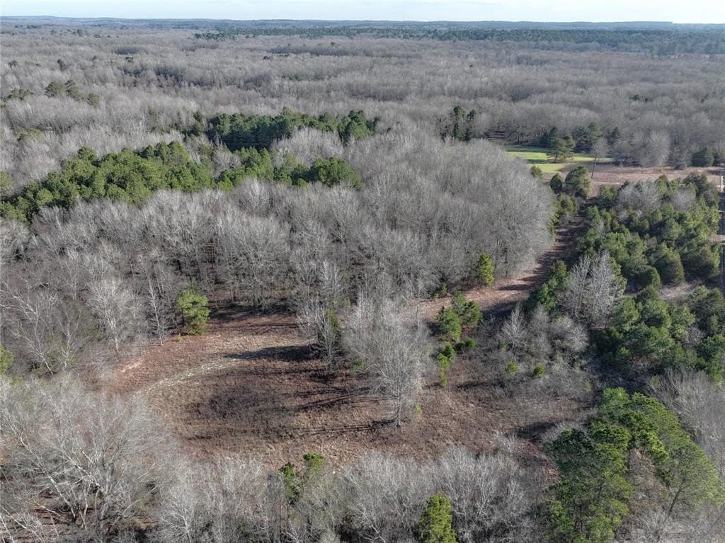 80.87 acres in Wood County - photo 3