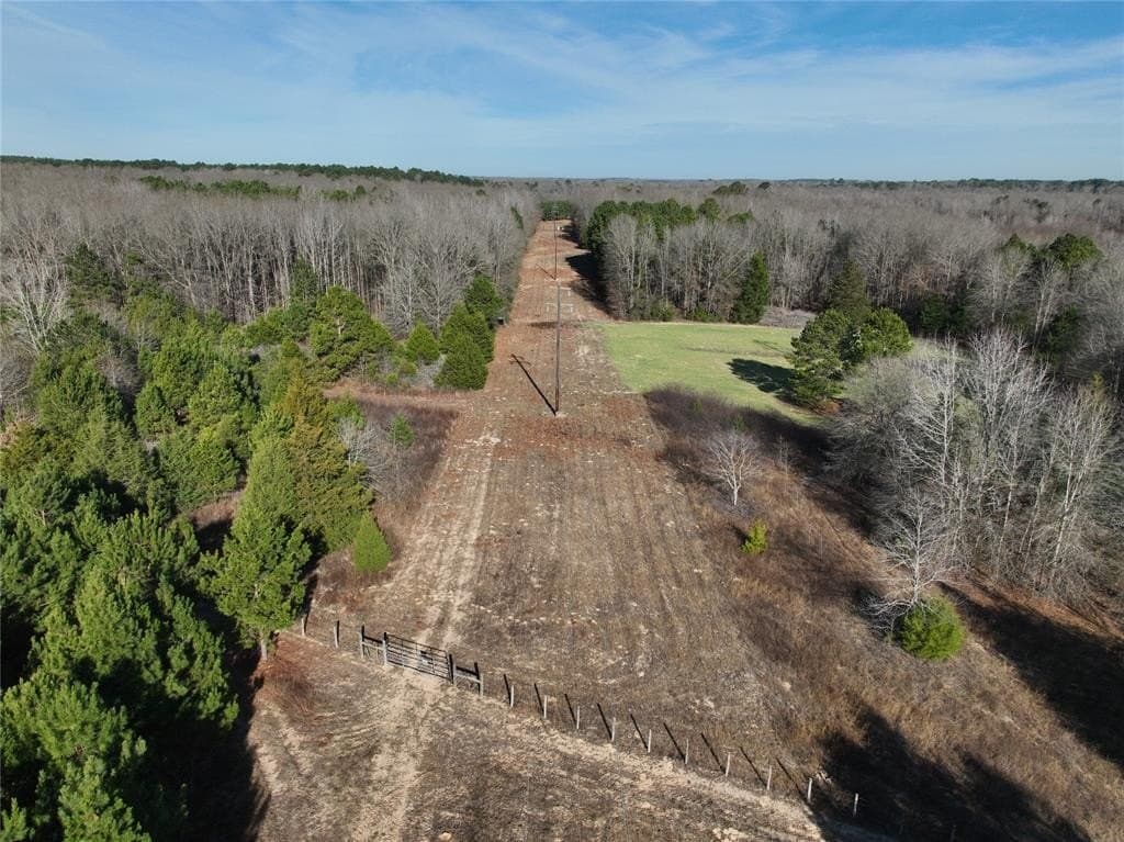 80.87 acres in Wood County - photo 6
