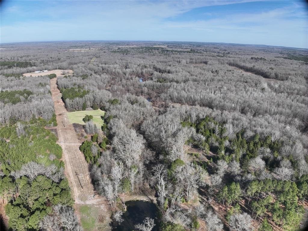 80.87 acres in Wood County - photo 9