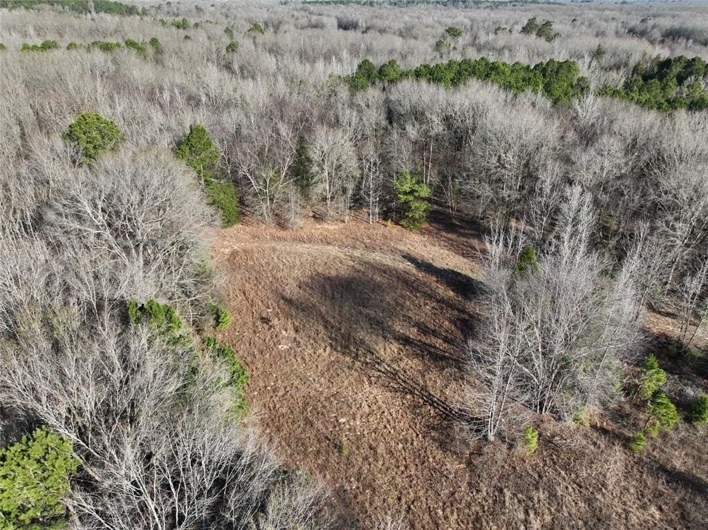 80.87 acres in Wood County - photo 4