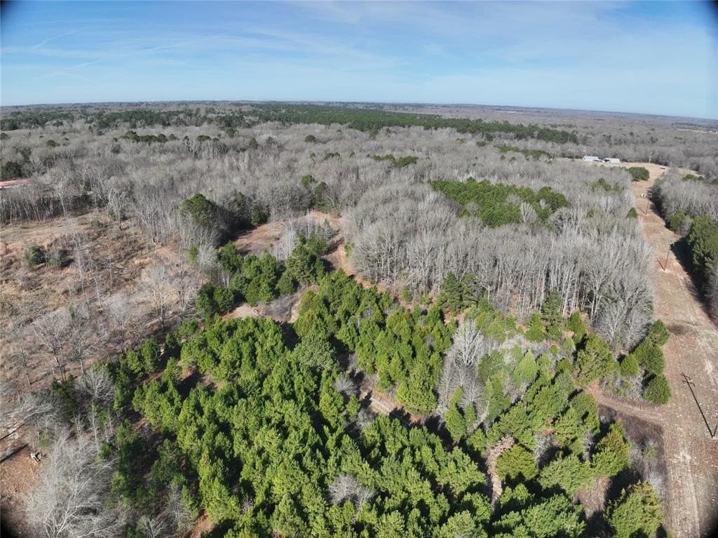 80.87 acres in Wood County - photo 5