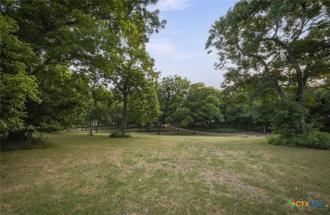 0.99 acres in Comal County - photo 5