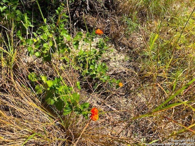 0.71 acres in Bandera County - photo 16