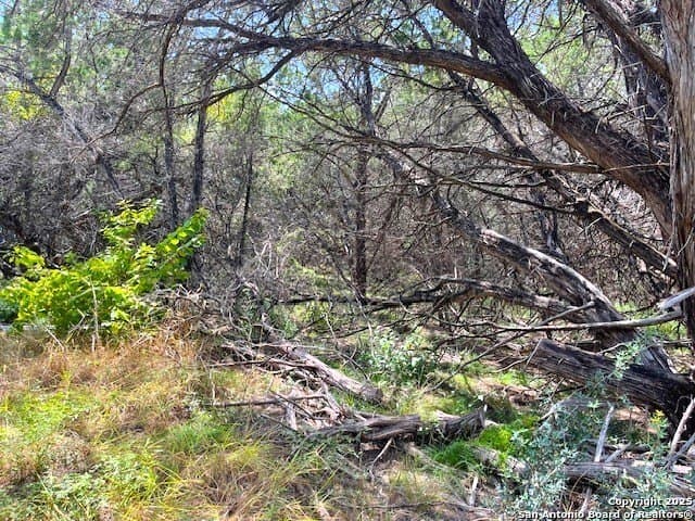 0.71 acres in Bandera County - photo 12