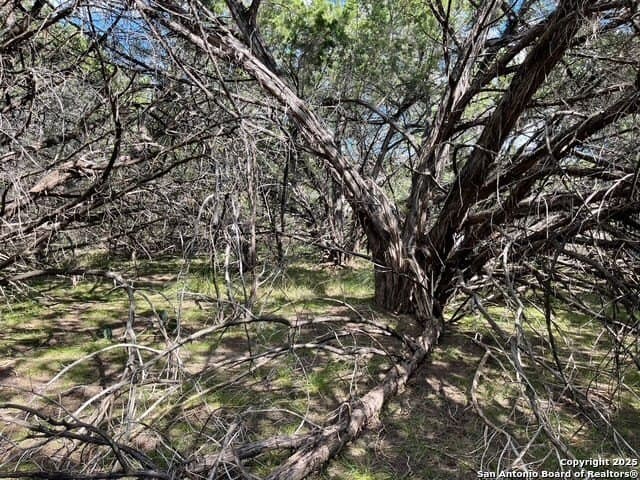 0.71 acres in Bandera County - photo 5