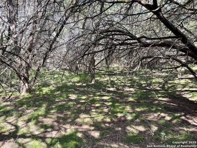 0.71 acres in Bandera County - photo 6