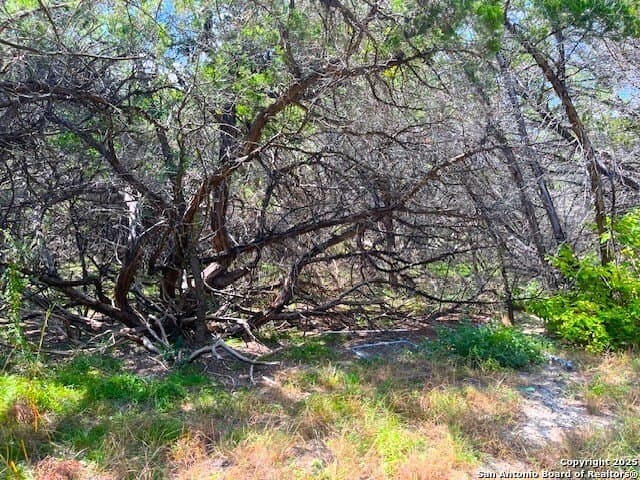 0.71 acres in Bandera County - photo 15