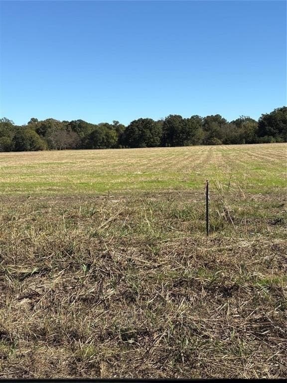 5.17 acres in Fannin County - photo 5