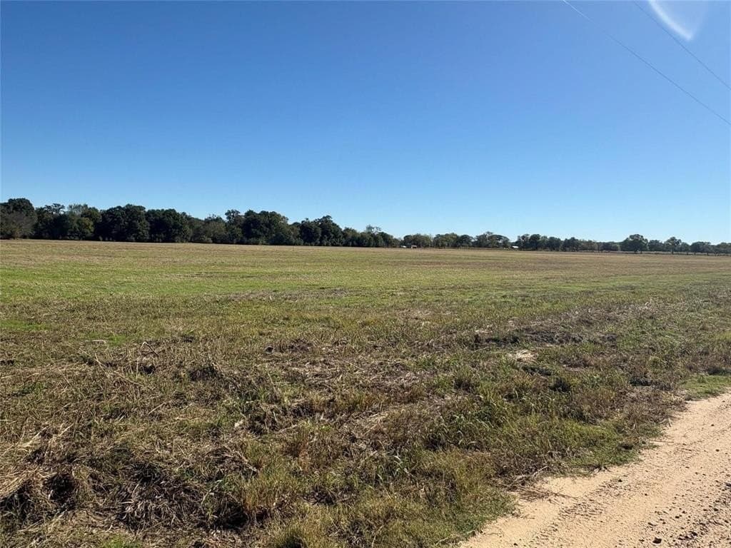 5.17 acres in Fannin County - photo 4