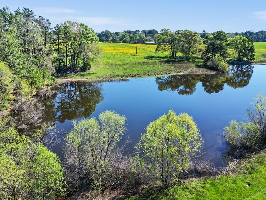 31.5 acres in ANDERSON County - photo 6