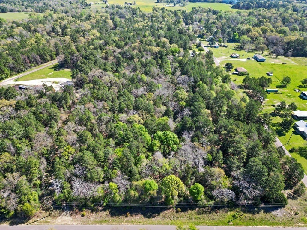 31.5 acres in ANDERSON County - photo 4