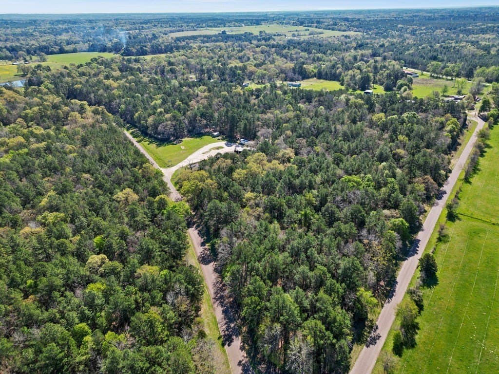 31.5 acres in ANDERSON County - photo 5