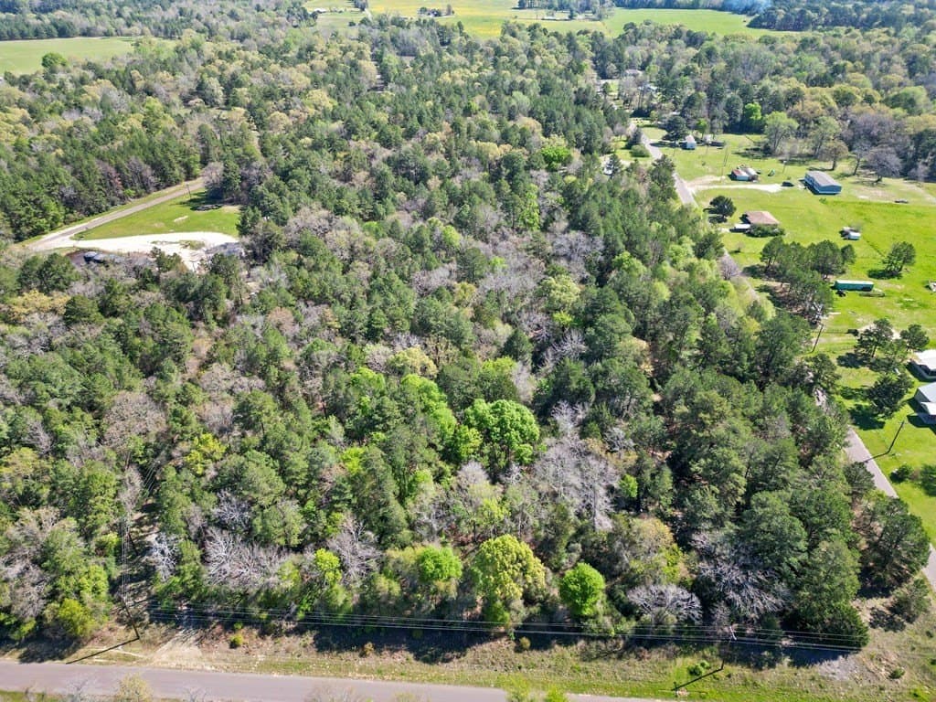 31.5 acres in ANDERSON County - photo 3