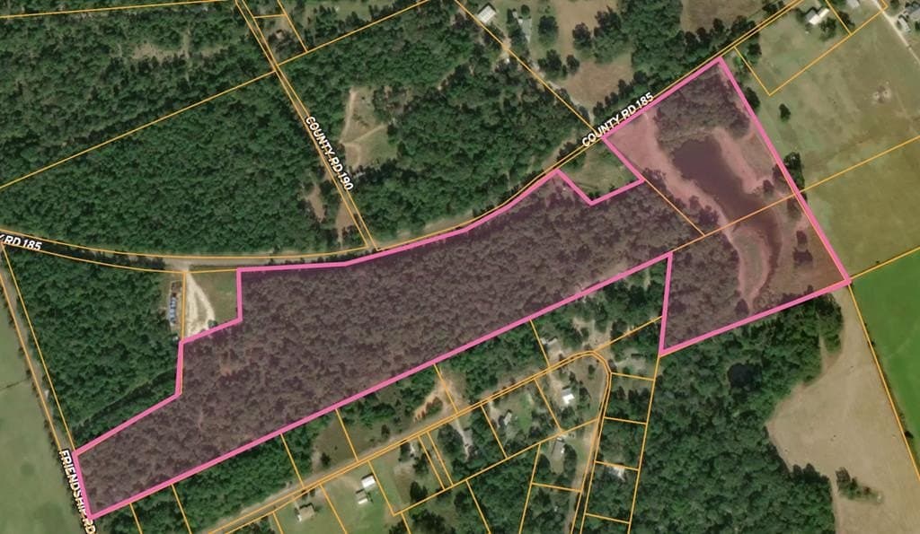31.5 acres in ANDERSON County - photo 7