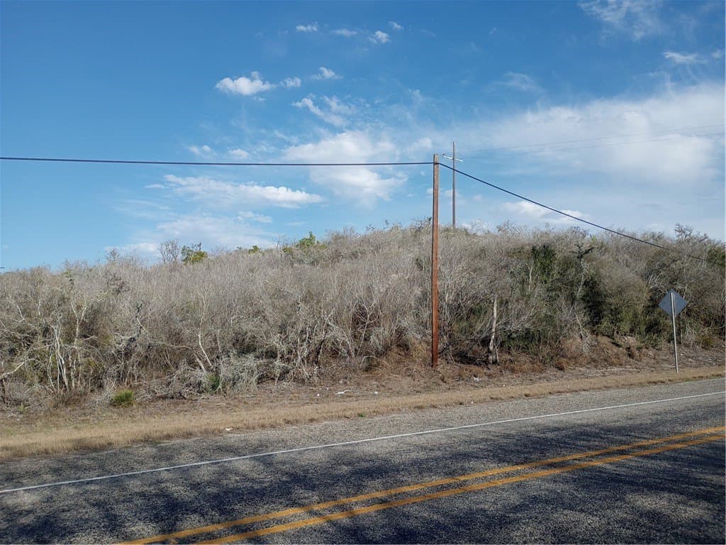 10.19 acres in Live Oak County - photo 3