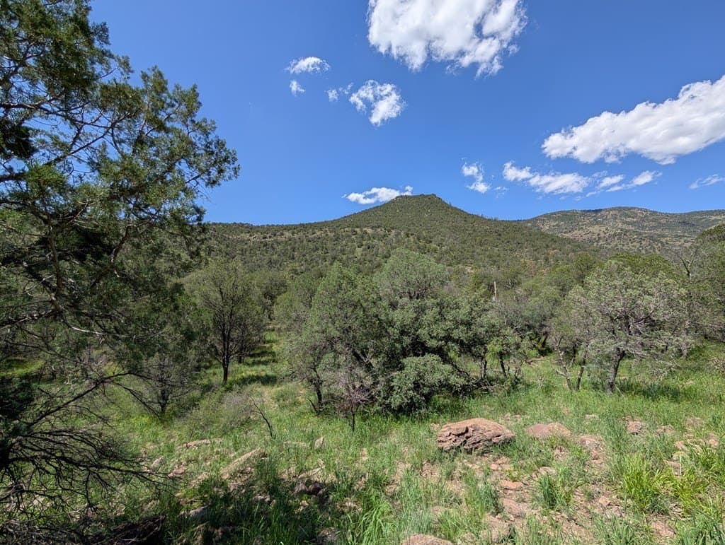 5.63 acres in Jeff Davis County - photo 13