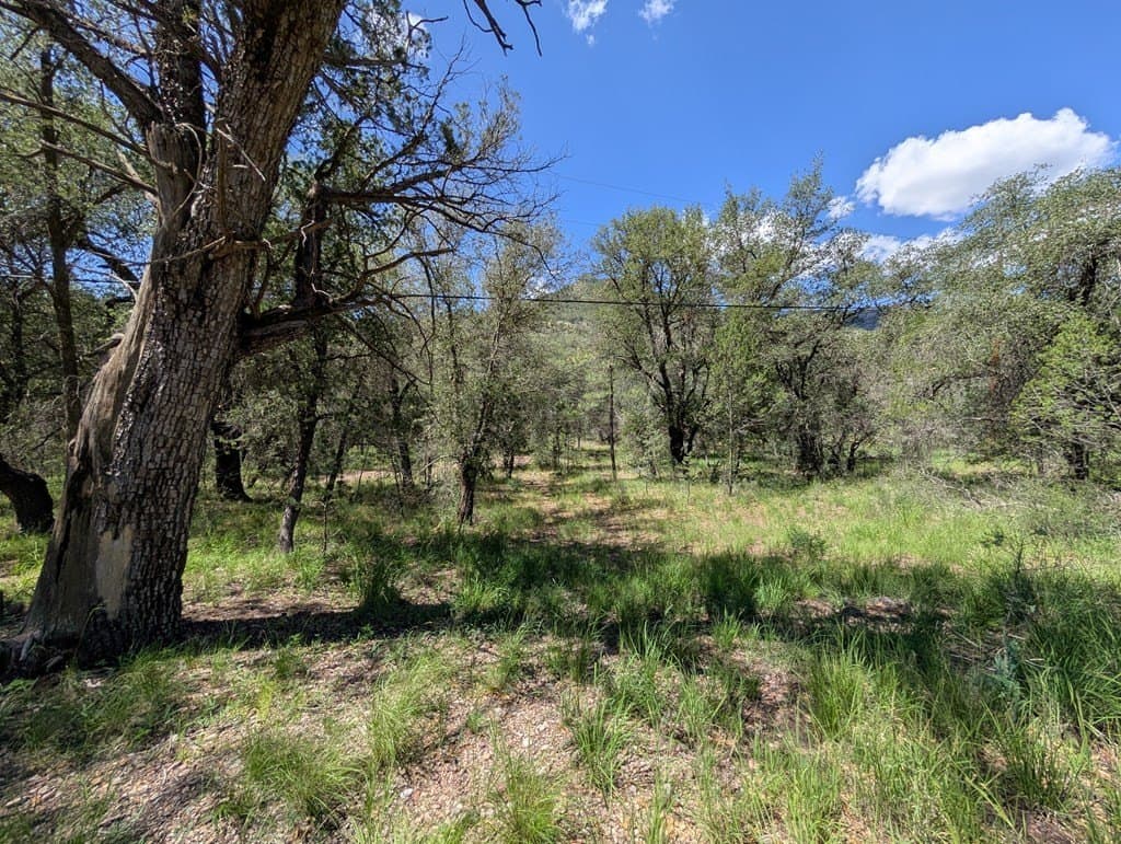 5.63 acres in Jeff Davis County - photo 10