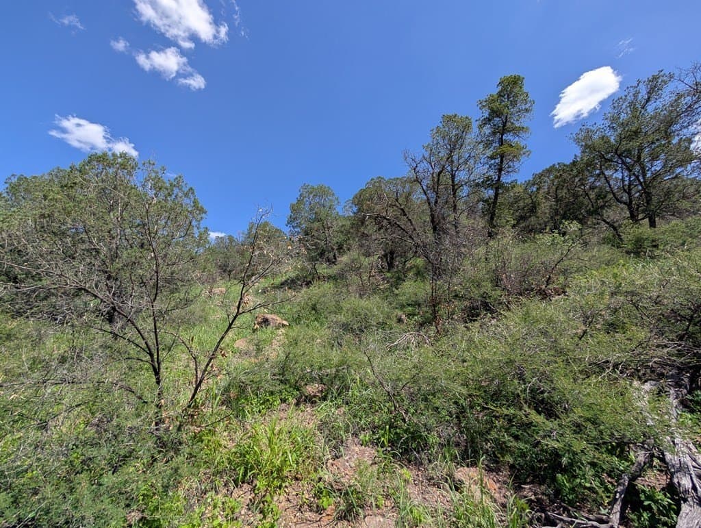 5.63 acres in Jeff Davis County - photo 11