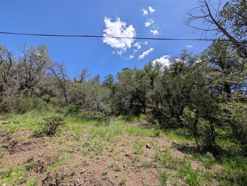 5.63 acres in Jeff Davis County - photo 17
