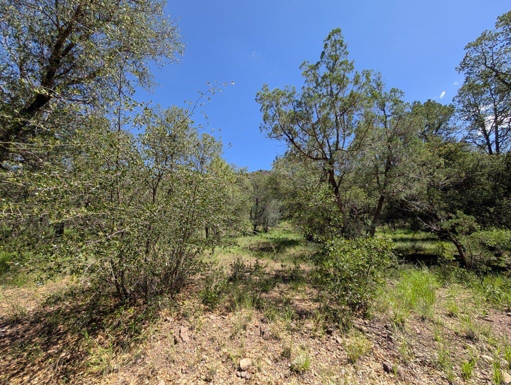 5.63 acres in Jeff Davis County - photo 3